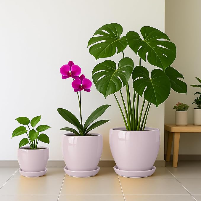 Deep Dream 10 Inch Plant Pot- Ceramic Planter Pot Round Plant Pots for Indoor Plants Outdoor Large Flower Pot with Drainage Holes & Trays, Pink