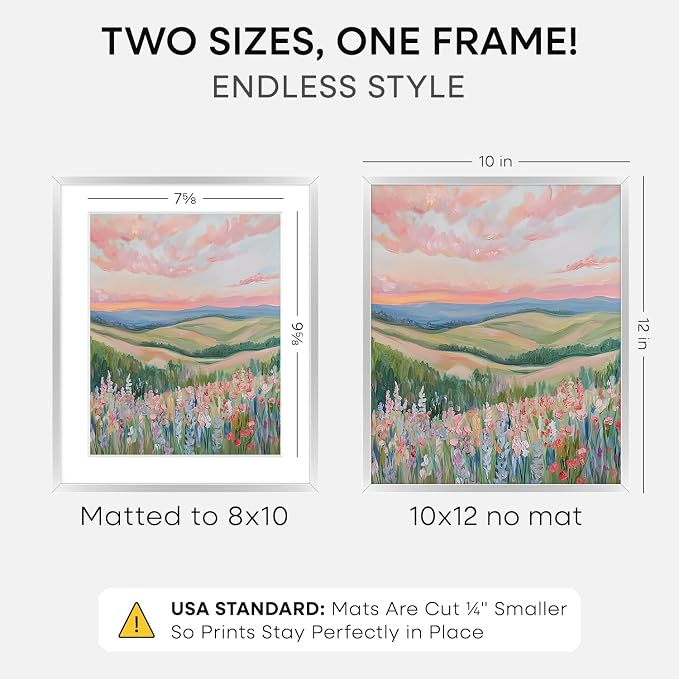 Homeforia 10x12 Silver Picture Frame, High-End Metal, 8x10 Mat, Glass