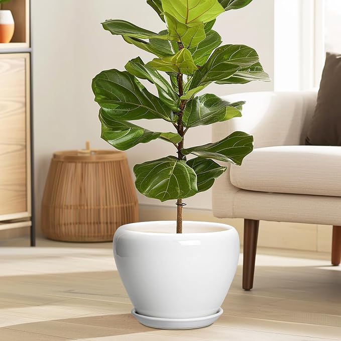 Ceramicfor Ceramic Pot for Plants, 8 Inch Planter, Glossy White | Plant Pot with Drainage Hole and Saucer, Round Planter for Indoor Plants, Modern, Plant Lover Gifts, Home Office Garden Decor