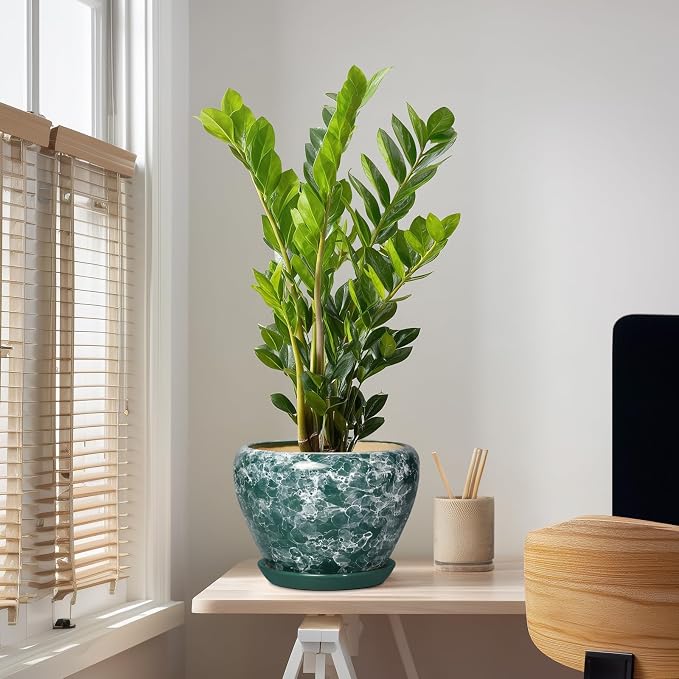 Ceramic Planter, 10 Inch Pots for Plants Indoor, Bubble Green | Decorative Modern Flower Pots with Drainage Hole and Saucer, Round Large Plant Pot, House Decor, Gifts for Gardeners