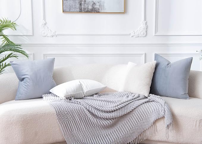 JUSPURBET 28x28 Euro Velvet Throw Pillow Covers Set of 2,Silver Gray