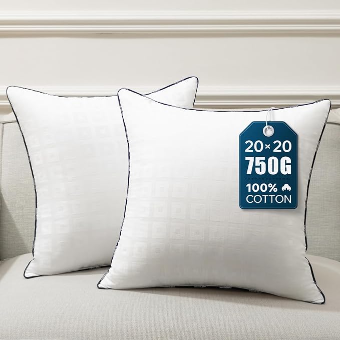 Phantoscope 20x20 Pillow Inserts - Throw Pillow Inserts with 100% Cotton Jacquard Cover - 20 Inch Bed and Couch Pillows Square Form Throw Pillows, Pack of 2