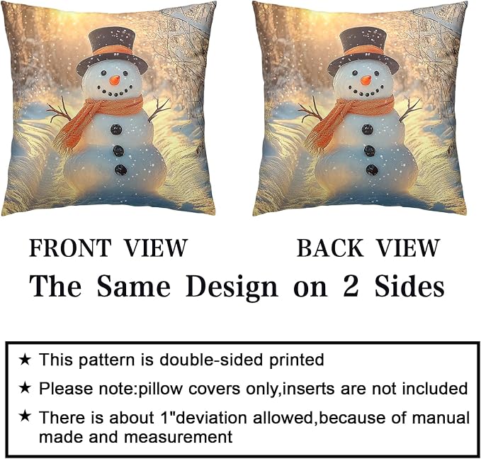 Winter Pillow Covers Snowman in The Sunshine Throw Pillow Covers 22x22 Snowflakes Pillow Case Double Sided Printing Cushion Case for Home Decor Couch Sofa Set of 2