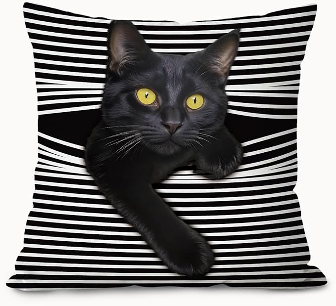 Funny Moody Black Cat Pillow Covers 18x18, Cat Room Decor, Whimsical Kitten Black and White Striped Decorative Throw Pillow Covers Pillowcases for Bedroom Living Room Home Decor
