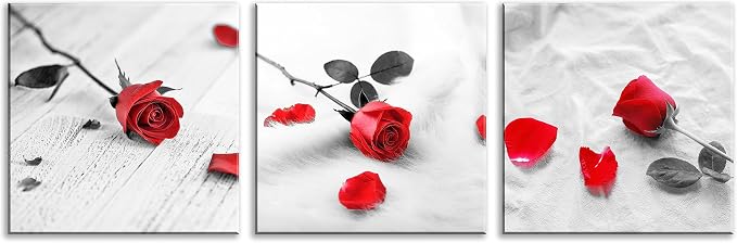 NAN Wind 3 Pcs Modern Canvas Painting Black and White Red Rose Canvas Art Painting Abstract Wall Art Decorations Flower Picture on Canvas for Home Decor Valentines Gift Stretched and Framed