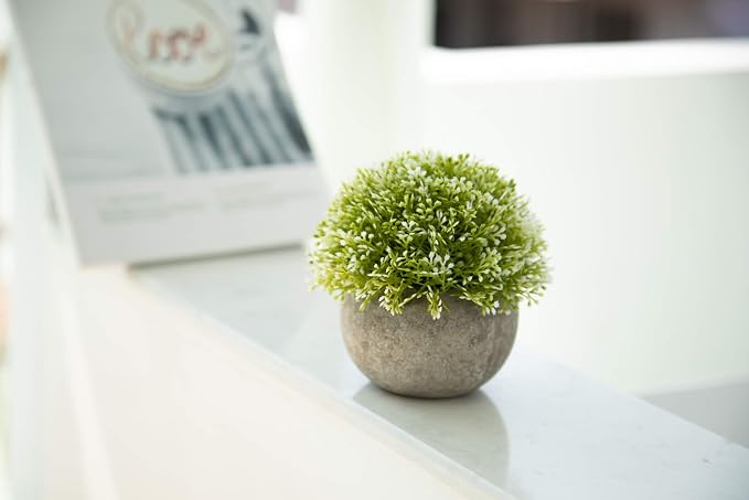 Velener White Mini Artificial Plant Topiary Ball Pot Set- Magnolia Flowers Cottagecore Decor Indoor Plant Shelf Home Office Small Desk Decorations Green Room Accessories Bathroom Kitchen Counter Aloe