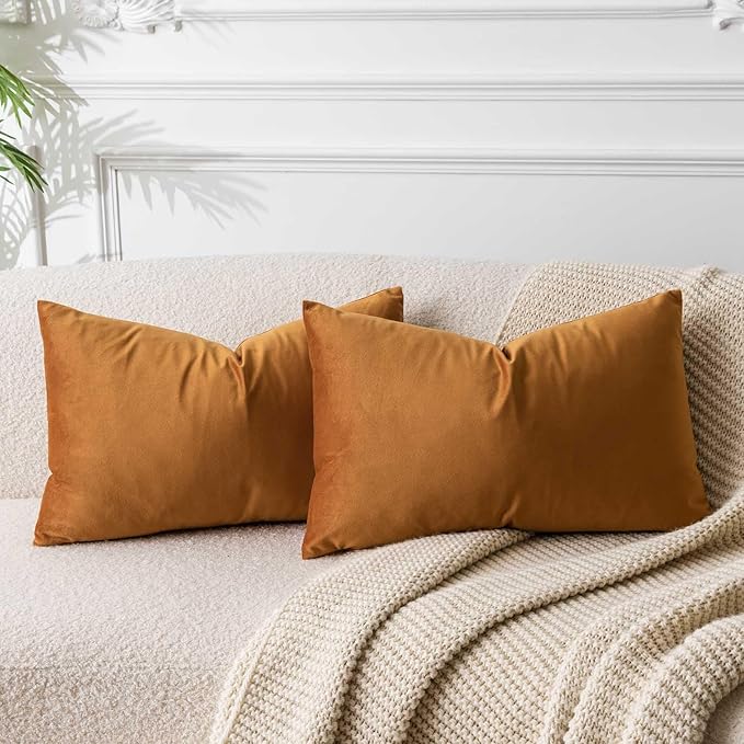 16x24 Pillow Covers Set of 2 Decorative Velvet Throw Pillow Covers,Rust