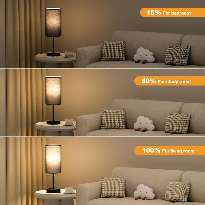 Fenmzee 17.4" Black Lamp for Bedroom - Dimmable Touch, USB A+C, AC Outlet