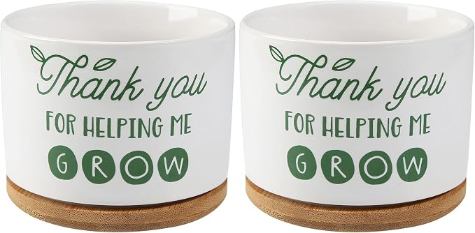 DOMG Teachers Appreciation Gift, Ceramic Succulent Plant Pot Small Flower Planter for Indoor Outdoor Use, Thank You for Helping Me Grow (Pack of 2)