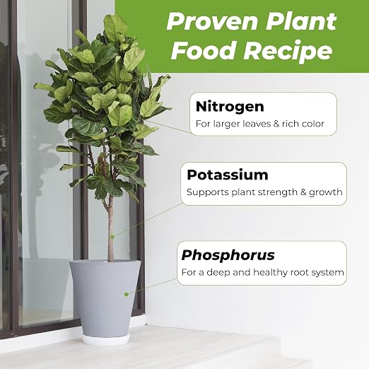 Perfect Plants Fiddle Leaf Fig Fertilizer, 8 oz, Liquid Ficus Food