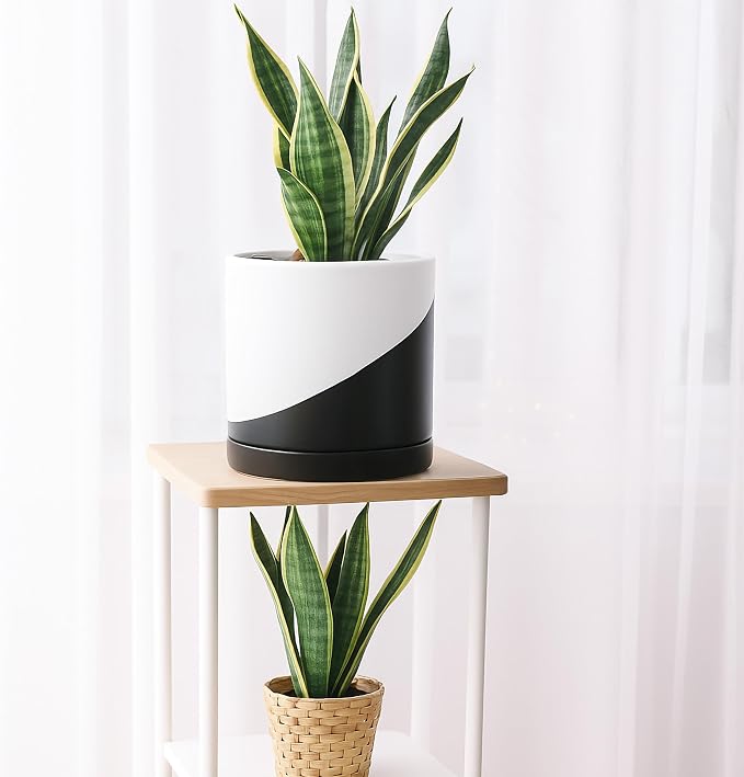 D'vine Dev 8.2 Inch Ceramic Planter Pot, Black White Diagonal, 94-O-D-K | Modern Cylinder Design, Drainage Hole & Saucer Included, Stable Structure, Elegant Home Accent