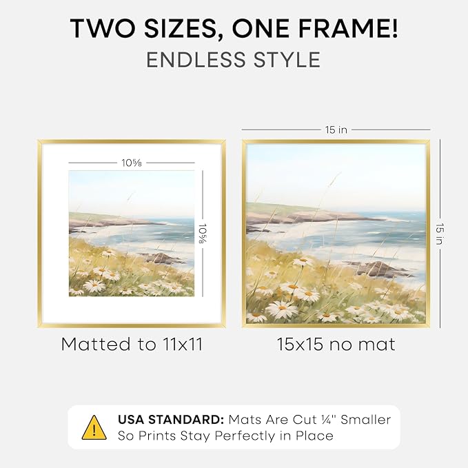 Homeforia 15x15 Gold Picture Frame, High-End Metal, 11x11 Mat, Glass