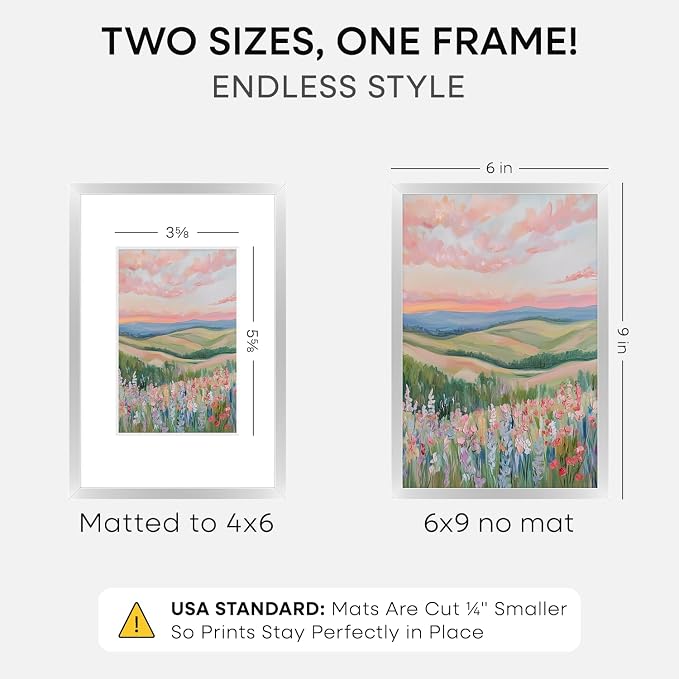 Homeforia 6x9 Silver Picture Frame, High-End Metal, 4x6 Mat, Glass