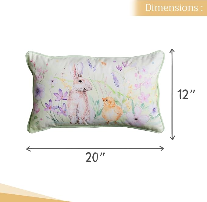 Maison d' Hermine Throw Pillow Covers 100% Cotton (12" x 20" - Pack of 1)