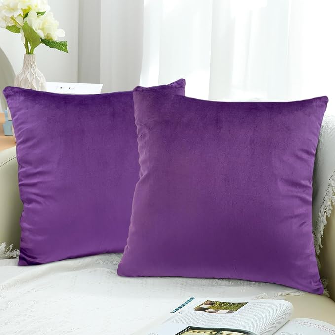 RELY+ Pack of 2 Throw Pillow Covers 18x18 Inch Velvet Soft Cozy Solid Decoration Gifts Pillow Covers Luxury Cushion Case for Sofa Couch Bedroom Living Room (Purple, 18 X 18)