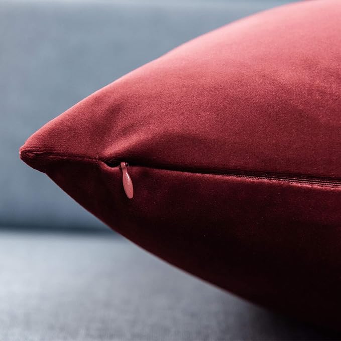 JUSPURBET Decorative Velvet Throw Pillow Covers 20x20 Set of 2,Burgundy