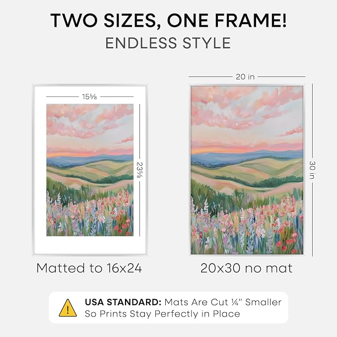 Homeforia 20x30 Silver Picture Frame, High-End Metal, 16x24 Mat, Glass