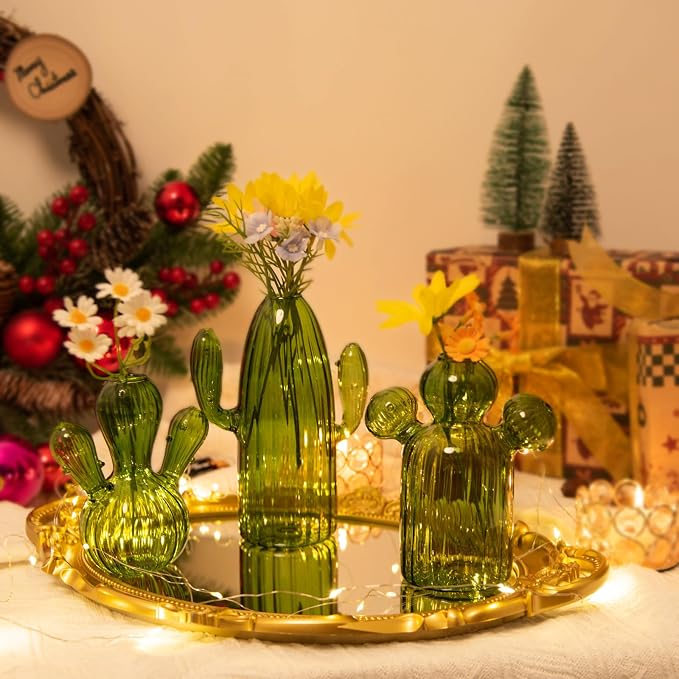 XXXFLOWER Cactus Plant Propagation Station 3 Cactus Vase Terrarium Jars | Desk Plant Cuttings Plant Holders Unique Glass Flower Vase for Hydroponics Plants for Plant Lovers Home Garden Decor