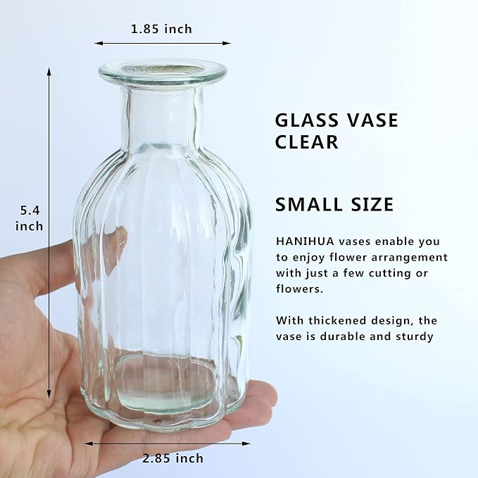 Bud Vases Set of 6 Small Glass Vase for Flowers, Clear Vase Set (Pack of 2)