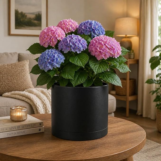 Giraffe Creation 14 Inch Cylinder Plant Pot, Modern Round Planter with Drainage Holes and Saucer, Durable Plastic Flower Pot for Indoor Outdoor Plants, Black