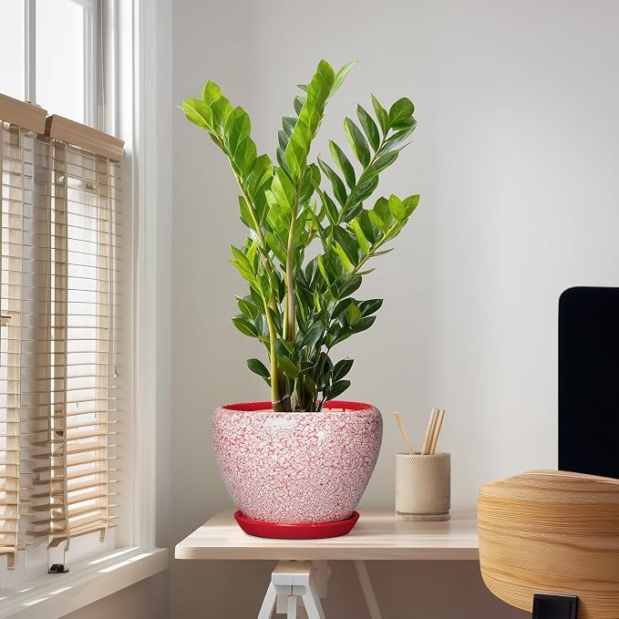 10 Inch Pots for Plants, Ceramic Planter Pots, Crackle Red | Decorative Planter with Drainage Hole and Saucer, Modern Flower Pot for Indoor Plants, House Decor, Plant Lover Gifts