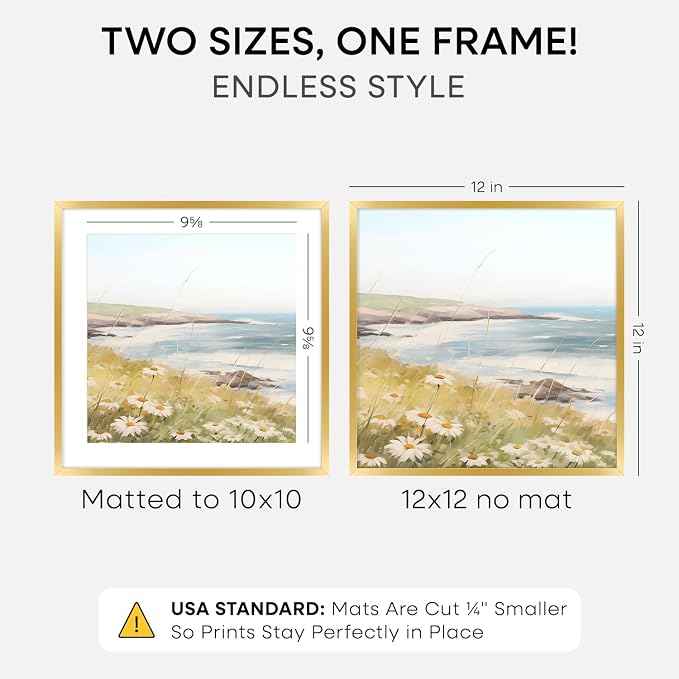 Homeforia 12x12 Gold Picture Frame, High-End Metal, 10x10 Mat, Glass
