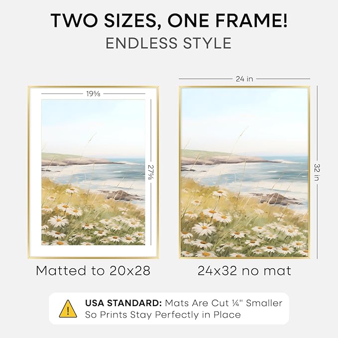 Homeforia 24x32 Gold Poster Frame, High-End Metal, 20x28 Mat, Glass