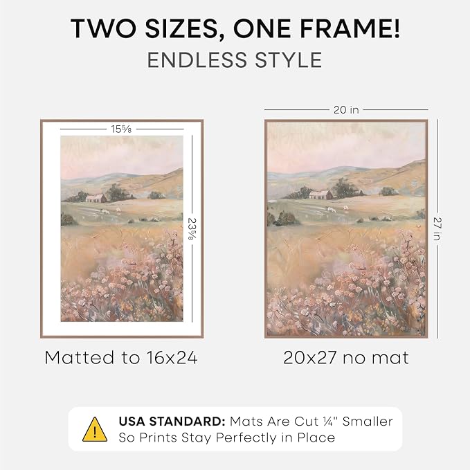 Homeforia 20x27 Mocha Picture Frame, High-End Metal, 16x24 Mat, Glass
