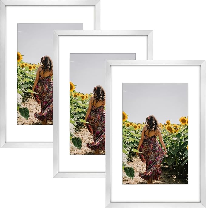 Frametory 3 Pack 16x24 Silver Picture Frame with Real Glass Mat for 12x18