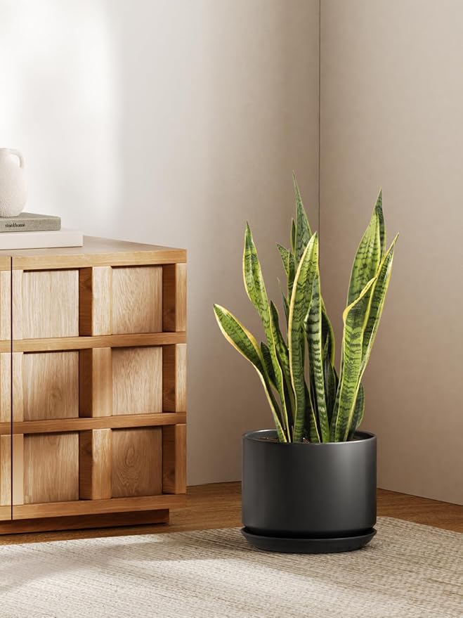 LE TAUCI Ceramic Pots for Plants, 10 Inch Plant Pot with Drainage Hole & Saucer, Sturdy & Modern Planters for Indoor Plants, Includes Mesh Screen, Fits Snake Plant & Monstera, Black