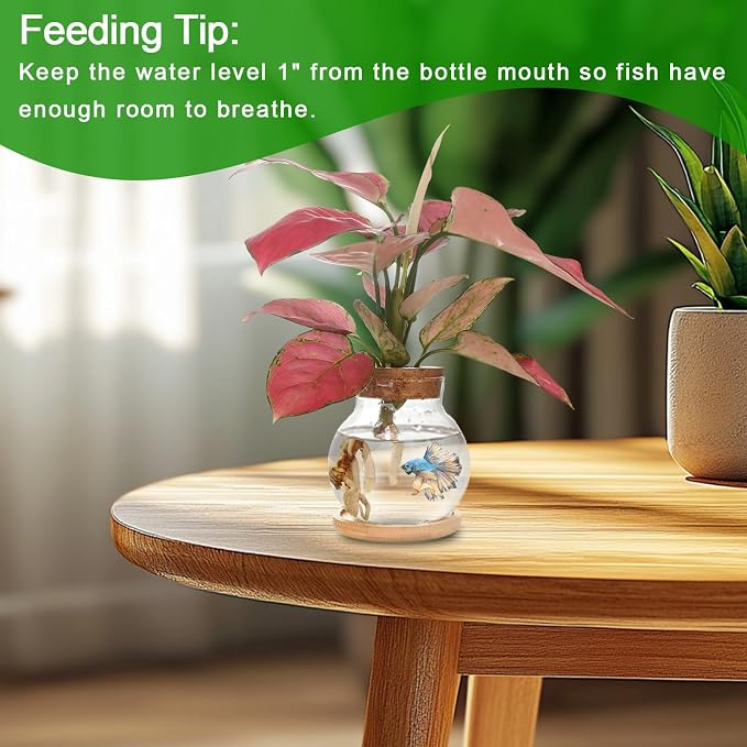 Plant Propagation Station,Hydroponic Glass Container Vase Jars, with Wooden Saucer for Desks, Houses, Garden Decorations, Home Kitchen Decorations and Gifts for Plant Lovers (9)