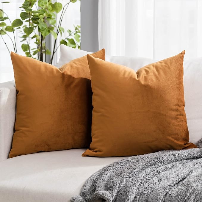 Burnt Orange Couch Velvet Throw Pillow Covers 22x22 inch Set of 2 with Zipper Decorative Luxury Soft Solid Rectangle Cushion Covers Case for Sofa Bed Living Room Car
