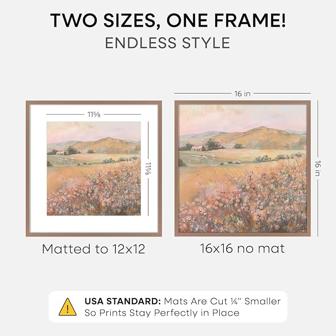 Homeforia 16x16 Mocha Picture Frame, High-End Metal, 12x12 Mat, Glass