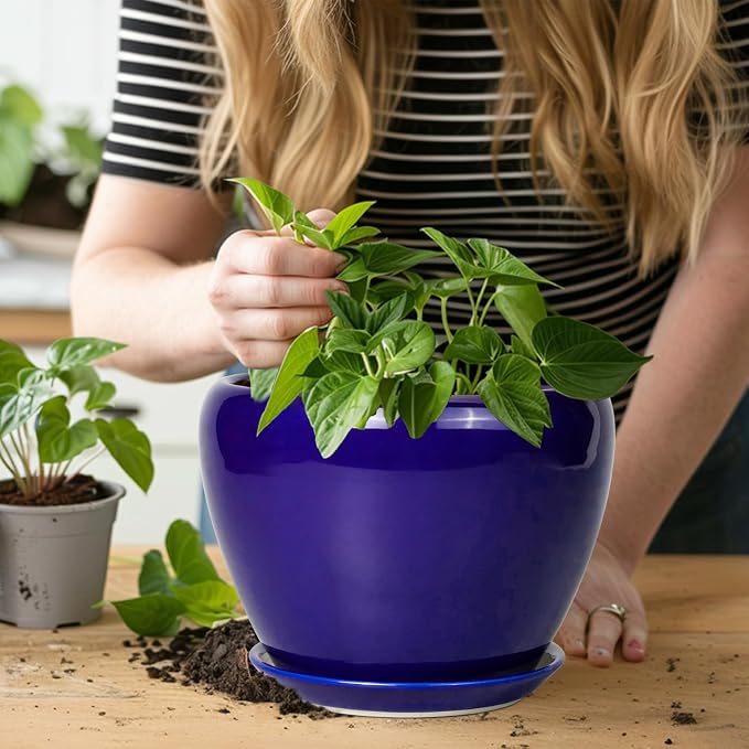 Ceramicfor Ceramic Plant Pot 8 Inch, Planter for Indoor Plants, Royal Blue | Indoor Plant Pot with Drainage Hole and Saucer, Round Planter, Modern Flower Pot, House Decor, Plant Lovers Gifts