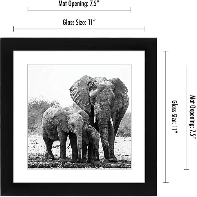 Americanflat 11x11 Picture Frame with Shatter-Resistant Glass - Use as 8x8 Frame with Mat or Display 11x11 Photo Without Mat - Signature Collection - Square Frames for Wall Display - Black