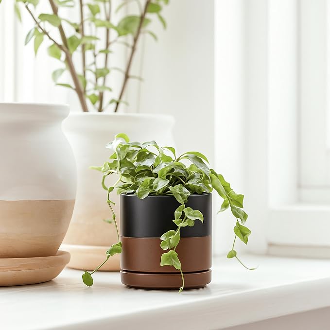 D'vine Dev 3.5 Inch Ceramic Planter Pot, Black/Tan, 94-O-A-7 | Modern Cylinder Design, Drainage Hole & Saucer Included, Stable Structure, Elegant Home Accent