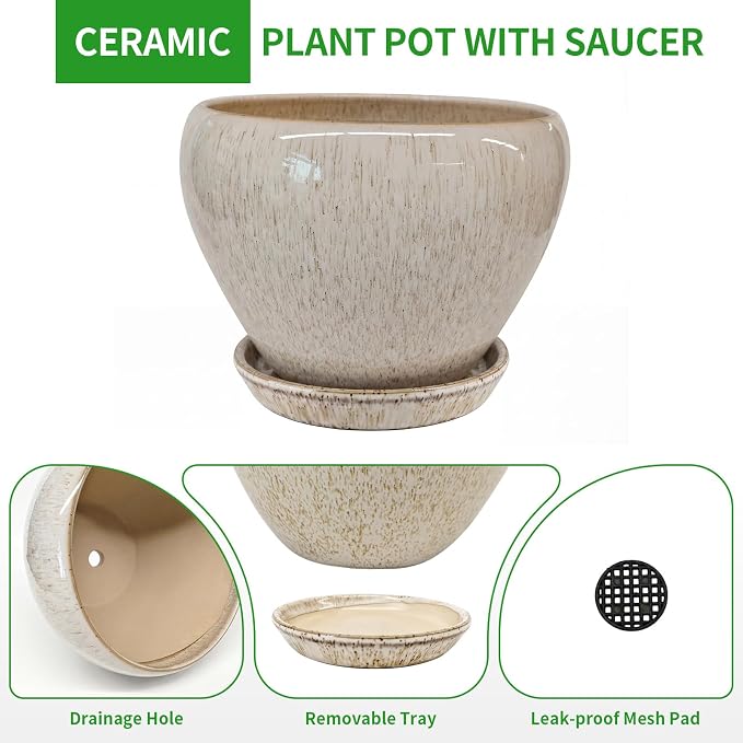 Deep Dream 8 Inch Plant Pots- Ceramic Pots for Plants with Drainage Hole and Saucer, Large Planter Pot for Indoor Plants Outdoor Decor, Beige
