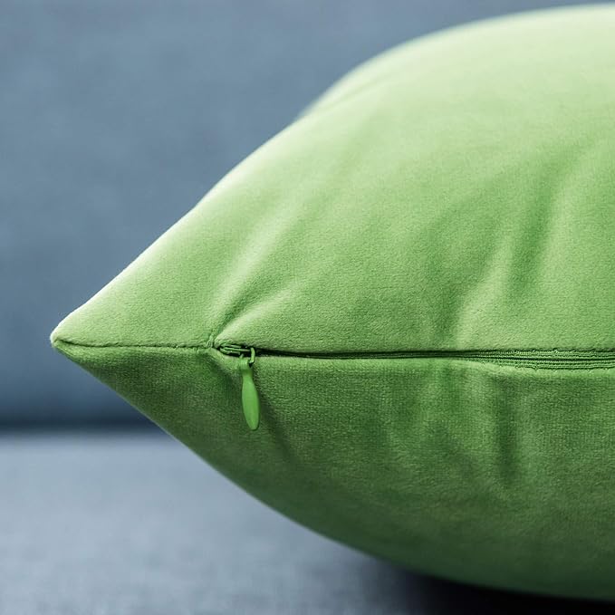 JUSPURBET 16x24 Lumbar Velvet Throw Pillow Covers Set of 2,Apple Green