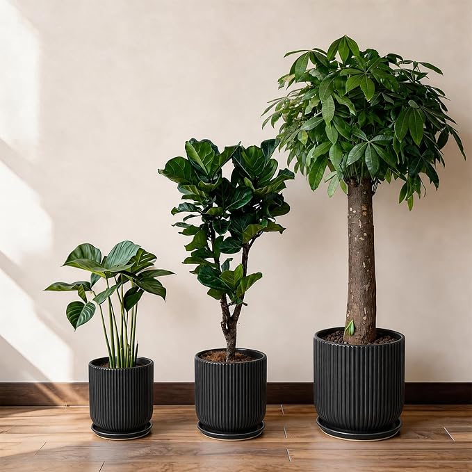 Deep Dream 8 Inch Ceramic Pots for Plants, Heavy Plant Pot for Indoor Outdoor Plants, Large Plant Pot with Drainage Hole and Saucer, Modern Tall Flower Pot, Gifts for Plant Lovers, Black