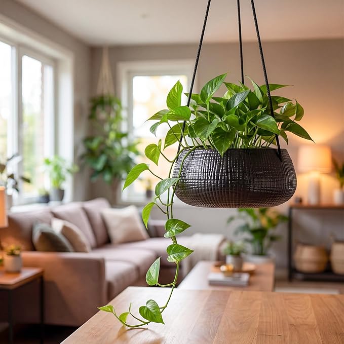 8 Inch Hanging Planter for Indoor Plant, Ceramic Black Flower Pot