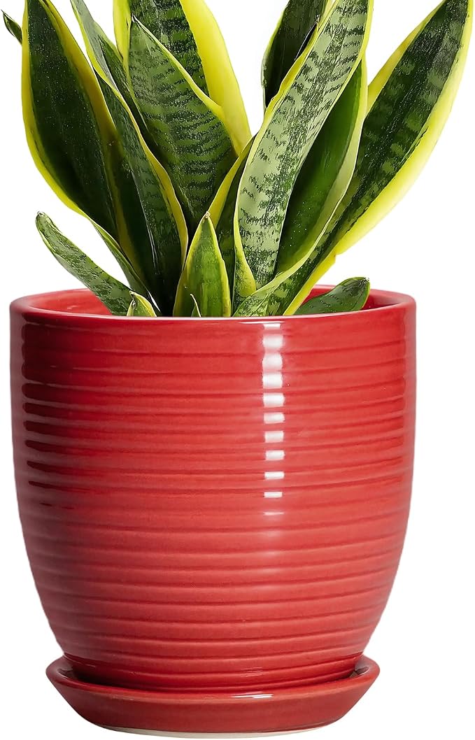 6 Inch Ceramic Plant Pot - Ceramic Pots for Plants, Round Planter with Drainage Hole and Saucer, Modern Flower Pots for Indoor Plants, Desk Home Office Decor, Plant Lover Gifts, Glossy Red