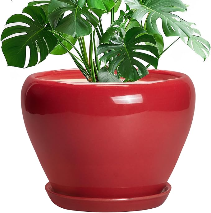 Ceramicfor 10 Inch Plant Pot, Ceramic Planter for Indoor Plants, Glossy Red | Round Planter with Drainage Hole and Saucer, Glaze, Modern, Home Room Garden Decor, Gifts for Plant Lovers