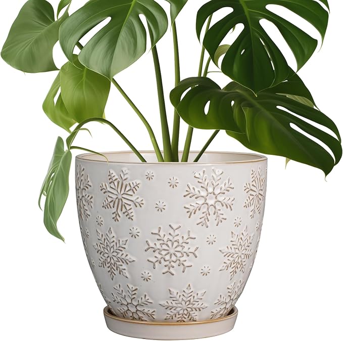 MPotTo Ceramic Planter 8 Inch Plant Pot with Drainage Hole and Saucer Ceramic Pots for Indoor Plants Outdoor Large Flower Pot for Home Decor White
