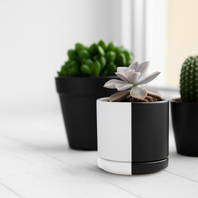 D'vine Dev 3.5 Inch Ceramic Planter Pot, Black White Split, 94-O-A-0 | Modern Cylinder Design, Drainage Hole & Saucer Included, Stable Structure, Elegant Home Accent