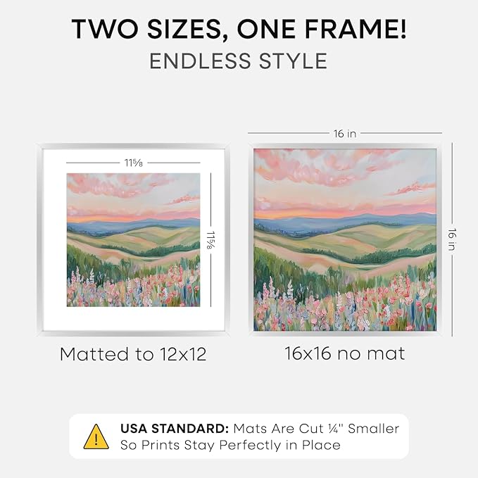 Homeforia 16x16 Silver Picture Frame, High-End Metal, 12x12 Mat, Glass