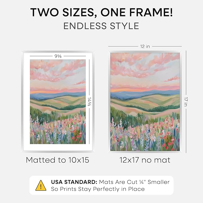 Homeforia 12x17 Silver Picture Frame, High-End Metal, 10x15 Mat, Glass