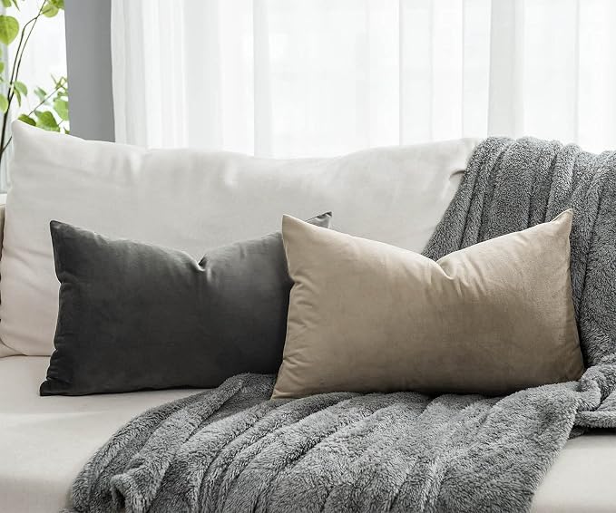 Stone Decorative Lumbar Velvet Throw Pillow Covers 16x24 inch Set of 2 with Zipper Luxury Soft Solid Rectangle Cushion Covers Case for Sofa Couch Bed Living Room