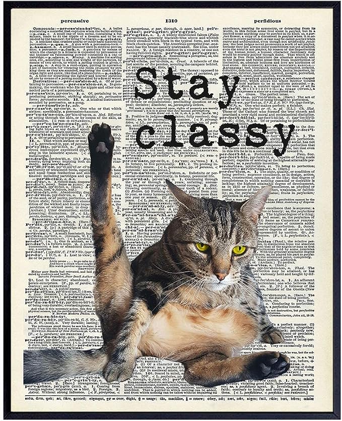 Cat Wall Decor - Cat Wall Art Print - 8x10 Poster Picture, Home or Apartment Photo Decoration - Funny Gift for Kitty Lovers, Animal Lovers, Pet Owners, Kitty or Kitten Fans - Unframed