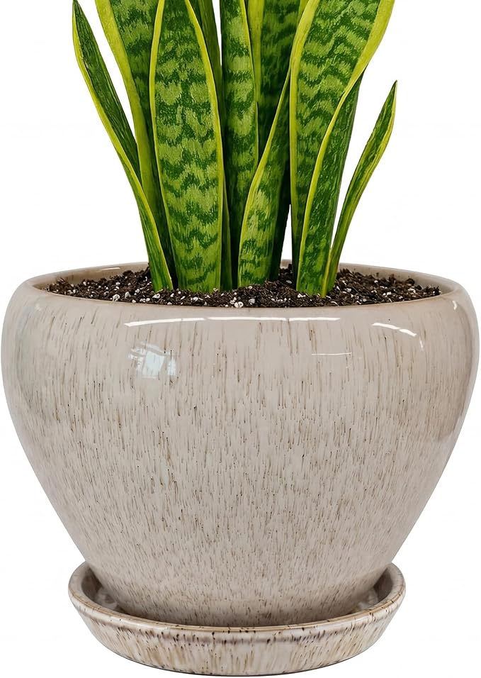 Deep Dream 8 Inch Plant Pots- Ceramic Pots for Plants with Drainage Hole and Saucer, Large Planter Pot for Indoor Plants Outdoor Decor, Beige
