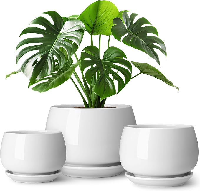 vancasso 3-Pack Ceramic Plant Pots, 7.3/9.6/11.6 Inch Indoor Planters with Saucers & Drainage Hole Planter pots for Indoor Plants and Flower, White